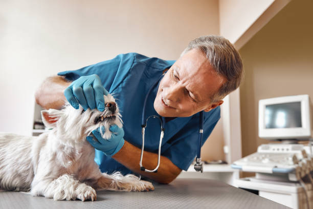 Best Emergency Treatment for Jaw Pain or Injury in Fort Rucker, AL